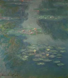 Åkander, 1908