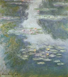 Åkander, Nympheas, 1908