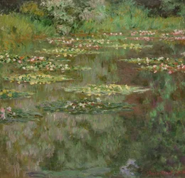 Åkander eller åkandammen (Nymphéas) 1904 (olie på lærred)