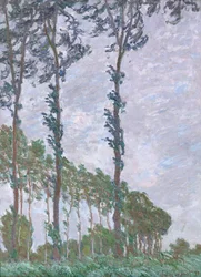 Vindeffekt, serie af poppelerne, 1891