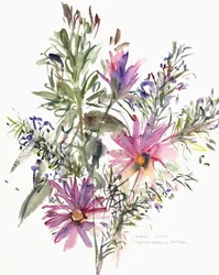 Blomster, sydafrikanske tusindfryd og lavander, 2004 (akvarel)