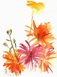 Morgenfruer og andre blomster, 2004