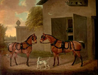 vogne, heste og hunde