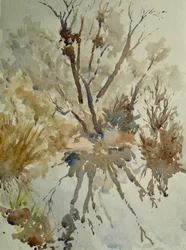 Fårekølle, Eton, 2010 (akvarel)