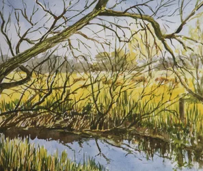 Water Meadows, Kintbury, tidlig eftermiddag i maj