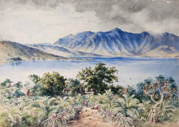 Naiviri Bay, Nananu, Fiji 1876 (akvarel)