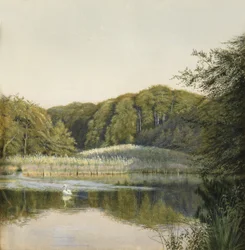 Swans on Paddington Pond, 1860