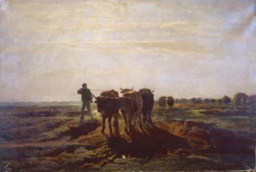 Fladt landskab med okse