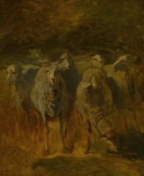 Uafsluttet undersøgelse af får, ca. 1850.