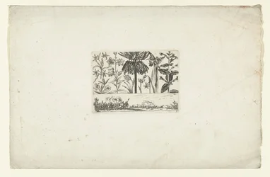 Række af blomster over landskab Blomster og landskaber (serietitel)