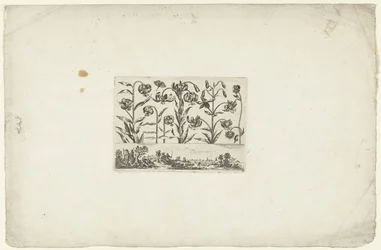 Række af blomster over landskab Blomster og landskaber (serietitel)