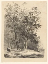 To figurer, der går i en skov