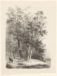 To figurer, der går i en skov
