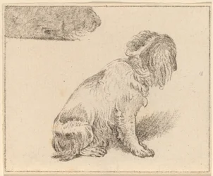 Siddende hund