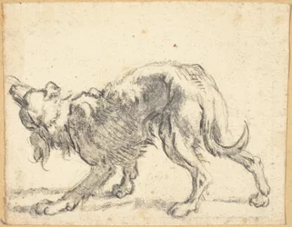 En hund