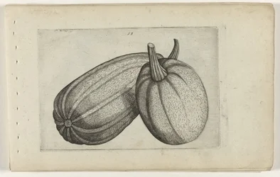 To meloner Know the Lilies (serietitel)