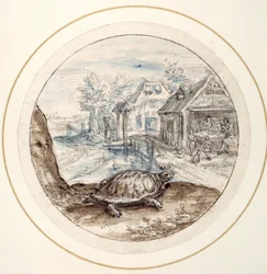 Skildpadde, tidligt i det 17. århundrede (pen og brunt blæk med brune og blå vaske)