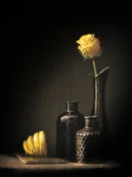 Elegant rose og citron