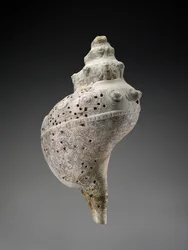 Himmelsk konkylie med kranier, AD 900-1521 (skal)