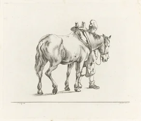 Mand går ved siden af ​​en hest