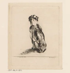 Siddende hund set bagfra