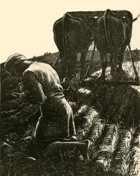 Den skjulte skat, 1864, 1928.