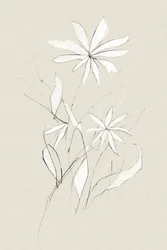 Gårdsblomst
