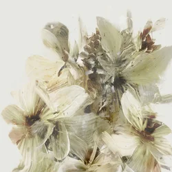 Bjergblomster
