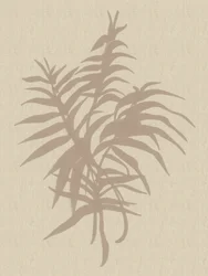 Plante-neutralt