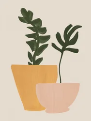 Plantet