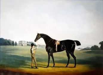 En hest og brudgom på grunden til Hooton Hall, Cheshire