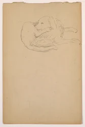 Tegning, Dash (en setter), ca. 1862