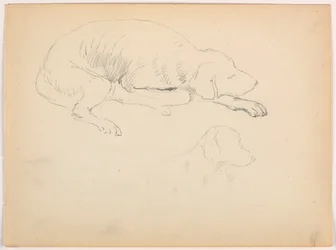 Tegning, Milo (en pointer), to studier, ca. 1862