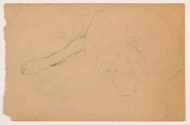 Tegning, Miol (en pointer), ca. 1862