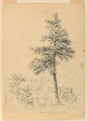 Studie af Hemlock, Gorham, New Hampshire