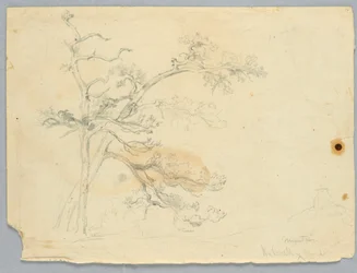 Studie af Two Pines, Catskill Mountains