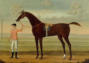 En Bay Væddeløbshest med sin Jockey på en Væddeløbsbane