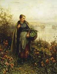Morgenafkøling,