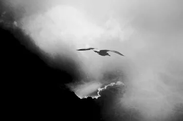 Dramatisk flyvning i himlen