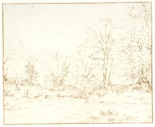 En skovvej