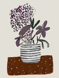 Lilla potteblomster