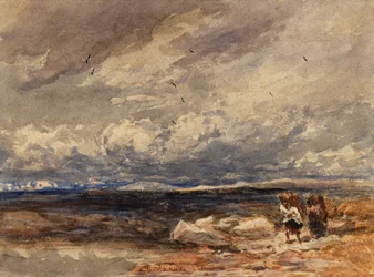 På Carrington Moss
