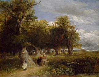 Skovens skørter, 1855