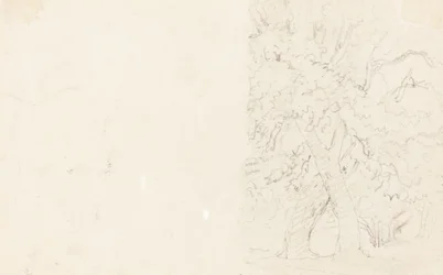 Træer [verso]