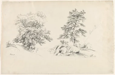 Kastanje og fyrretræ, 1869.