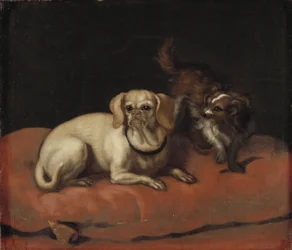 To hunde