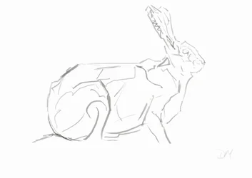 Hare, 2024 (blæk med bambusrørpen på papir)