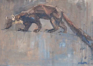Pine Marten, 2023 (olie på lærred)
