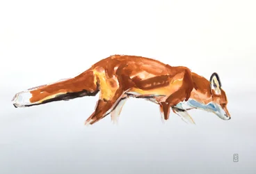 Red Fox, 2020 (akvarel og farveblyant)