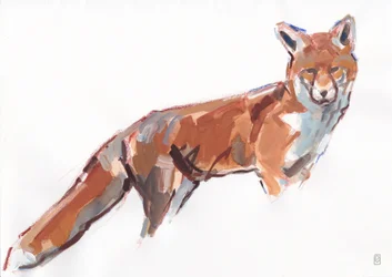 Red Fox, 2021 (gouache og akvarel/farveblyant på papir)